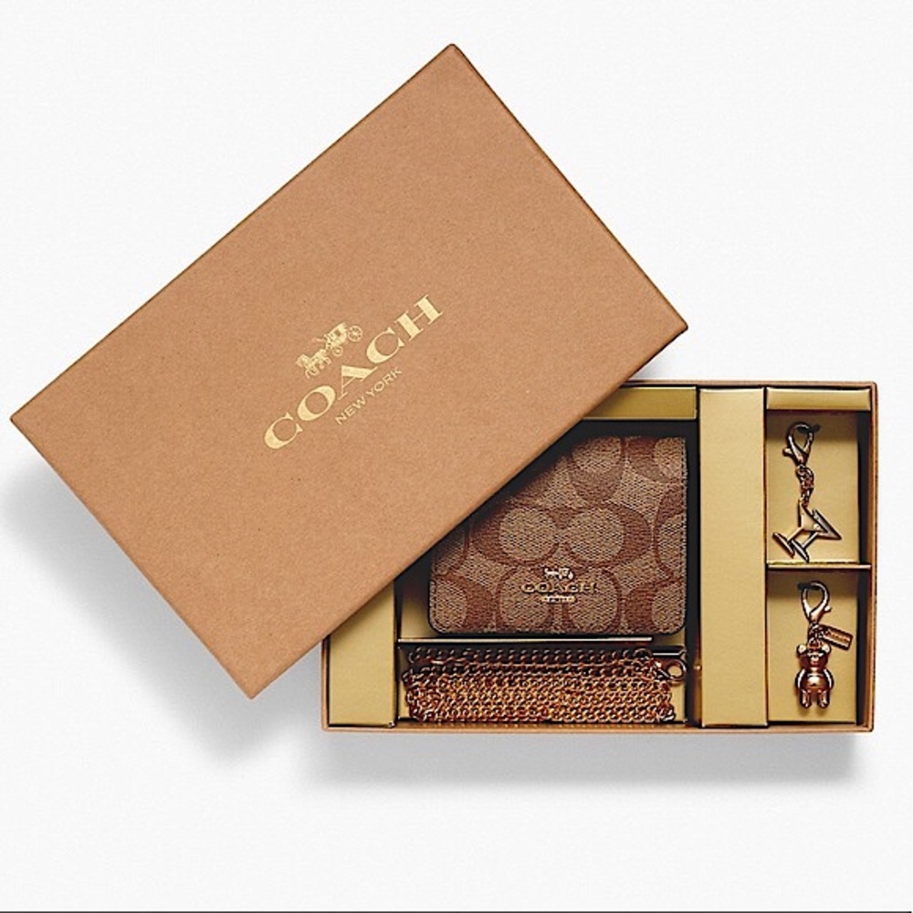 Boxed Mini Wallet On A Chain In Blocked Signature Canvas